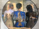 RARE  Pink Floyd - Rare Beauties (Vinyl, 2011, Picture Disc)
