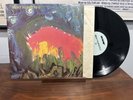 Meat Puppets - Meat Puppets II - Vinyl LP - SST 019 - Inner
