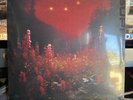 The Silent Planet Superbloom Metalcore Vinyl Album