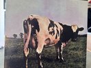 Pink Floyd Atom Heart Mother Vinyl Record 1994 Original Master Recording
