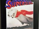QBert: Baby Super Seal 7 Inch Scratch Vinyl