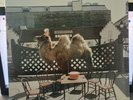 wilco the album sealed lp-on nonesuch-mint new
