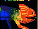 Frumpy - All Will Be Changed (LP, Album, Gat) (Very Good (VG)) - 3212121596