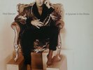 Rod Stewart - A Spanner In The Works / VG+ / LP, Album