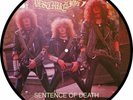 Destruction Sentence of Death LP Picture Disc SODOM SLAYER kreator Heavy METAL