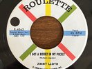 JIMMY LLOYD - 'I Got A Rocket In My Pocket' 45 (Roulette) Killer ROCKABILLY  VG+