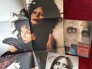 LADY GAGA Alternate Signed Insert MAYHEM Indie Exclusive Vinyl New