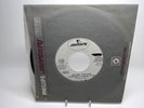 A Brother's Guiding Light – Getting Together / PROMO 1973 MONO DJ-373 EX