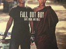 Save Rock and Roll by Fall Out Boy (Record, 2013)
