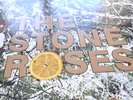 The Stone Roses - Stone Roses UK 1989 Silvertone 1st Press Embossed Cover LP