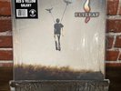 FLYLEAF: Flyleaf (S/T) LP Smart Punk Records #/200 Red & Yellow Galaxy Vinyl
