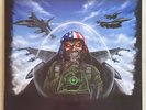 Iron Maiden Brave Dallas 2010 Picture Disc Concert LP