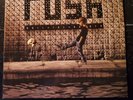 rush roll the bones vinyl