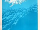 Boris Flood 2LP - Limited Edition Jade Splatter