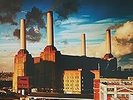 Pink Floyd - Animals