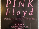 PINK FLOYD - Delicate Sound of Thunder **3 TRACK 12