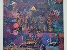 Glass Animals 