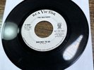 KILLER 1966 GARAGE PUNK 2 SIDER the BRUTHERS Bad Way To Go / Love RCA PROMO