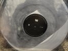 Charli XCX Brat and It's Completely Different Powder Filled Vinyl Blood Records