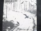 1BURZUM Hvis Lyset Tar Oss LP 1994 ORIGINAL NEAR MINT INSERT BLACK METAL: