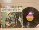 BUFFALO SPRINGFIELD 