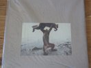 SHELLAC Dude Incredible 2014 180 gram Vinyl Record LP Albini noise math rock NEW
