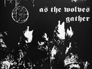 Forgotten Woods - As The Wolves Gather - LP