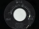 Funk/Sweet Soul Gospel 45 - Southern Travelers - Jesus Will - Private