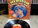 1973 Van Morrison – Blowin Your Mind Vinyl Record LP – BLPS 218 – VG+/VG+ – READ