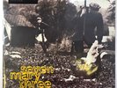 Seven Mary Three American Standard LP Album vinyl record remastered 180g reissue