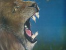 LIONS PRIDE - Breaking Out - Vinyl (blue vinyl LP + 7
