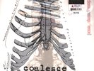 Coalesce - Functioning On Impatience White With Splatter  (2024 - Original)