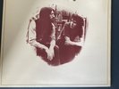 Tir Na Nog A-1 B-1 Gatefold LP Album Vinyl Record ILPS 9153 - VG+