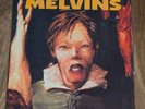 Melvins Night Goat 7
