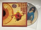 Kate Bush The Kick Inside LP Picture Disc Limited Edition 1979 UK Vinyl Rare VG+