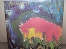 Meat Puppets II 1984 SST Records Vinyl LP SST 019 First Pressing + Insert RARE