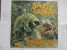 EX  UK  STEREO DECCA LP - SAVOY BROWN - 