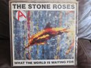 The Stone Roses – What The World Is Waiting For Fools Gold 9.53  ORE T 13 12