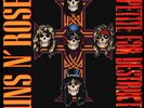 Guns N' Roses - Appetite For Destruction (Vinyl 2LP - 2018 - US - Original)