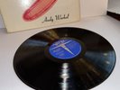 VTG Velvet Underground & Nico -Andy Warhol Peeled Banana Vinyl Record V6-5008