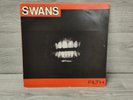 Swans 