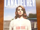 Lana Del Rey Born to Die LP (2012) NEW