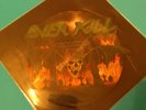 Overkill Feel The Fire Picture Shape Limited Edition Testament Exodus Slayer