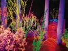 Hüsker Dü Warehouse: Songs And Stories 2xLP Album Vinyl Schallplatte 0128