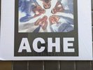 HEADACHE ( VEGYN ) - The Head Hurts but the Heart Knows the Truth -double Vinyl