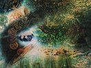 A Saucerful of Secrets, Pink Floyd, New