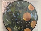 Violet Bent Backwards over the Grass (Picture Disc) by Lana Del Rey Record, 2020