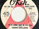 SANDI SHELDON You're Gonna Make Me Love You 1967 Rare WLP 45, Okeh Northern Soul