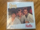 Hello by Joy (full length LP)