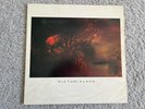 Vinyl 12